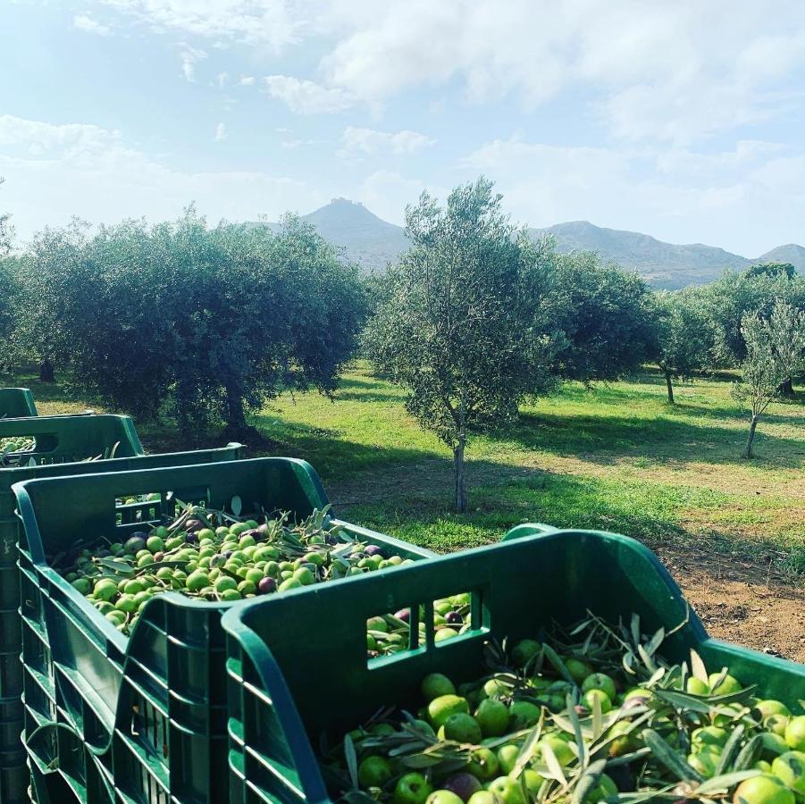 Casa Ulivo Agave Favignana At My Place المظهر الخارجي الصورة